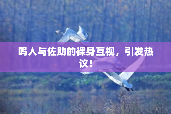 鸣人与佐助的裸身互视，引发热议！