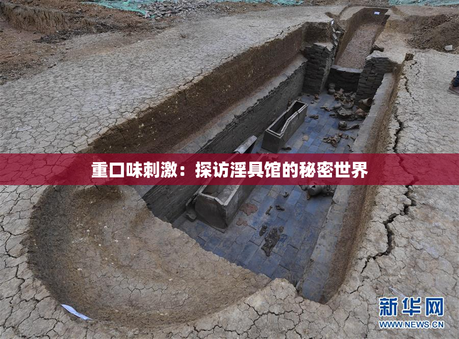 重口味刺激：探访淫具馆的秘密世界