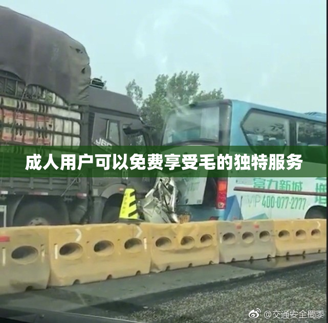 成人用户可以免费享受毛的独特服务