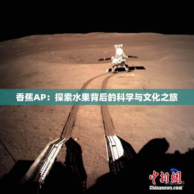 香蕉AP：探索水果背后的科学与文化之旅