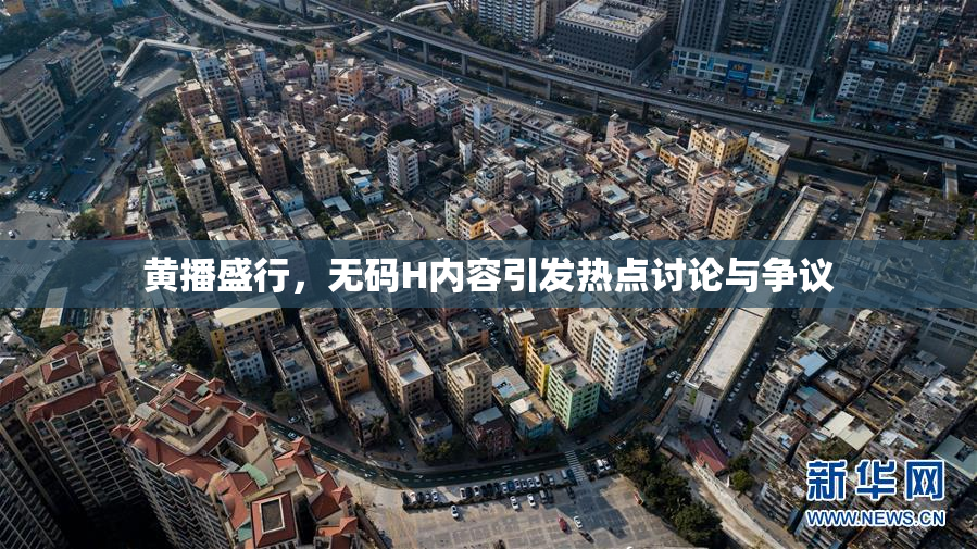 黄播盛行，无码H内容引发热点讨论与争议