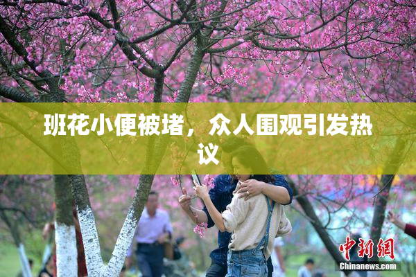 班花小便被堵，众人围观引发热议