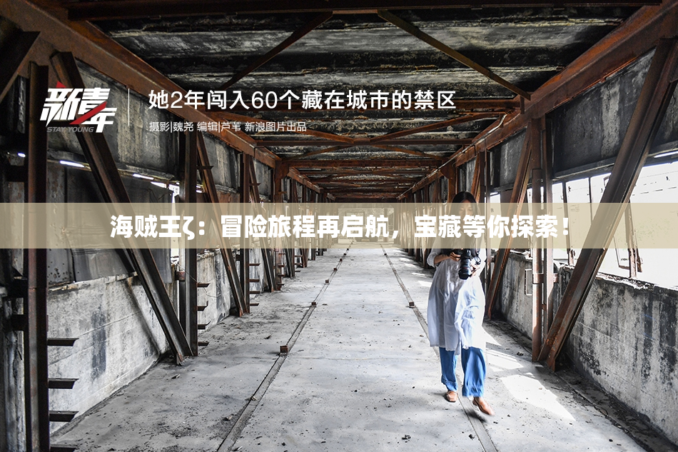 海贼王ζ：冒险旅程再启航，宝藏等你探索！