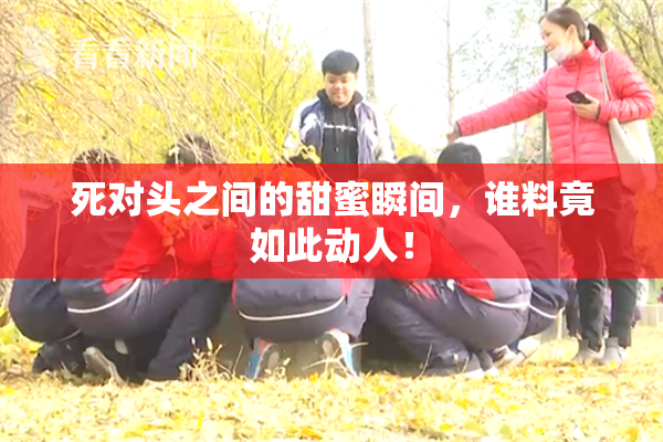死对头之间的甜蜜瞬间，谁料竟如此动人！