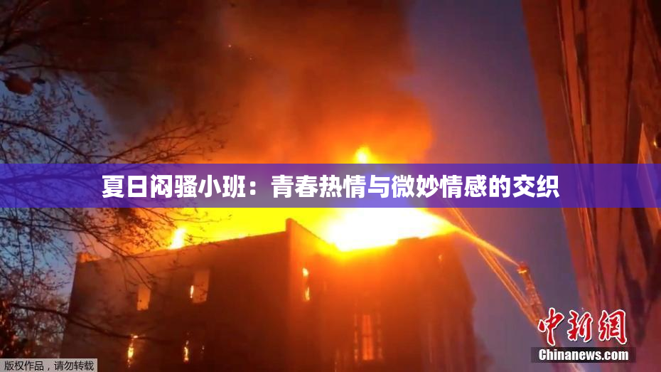 夏日闷骚小班：青春热情与微妙情感的交织