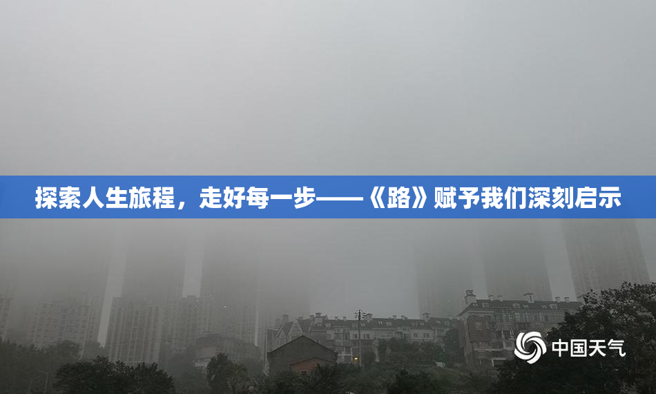 探索人生旅程，走好每一步——《路》赋予我们深刻启示