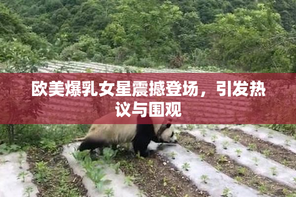 欧美爆乳女星震撼登场，引发热议与围观