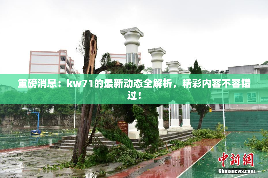 重磅消息：kw71的最新动态全解析，精彩内容不容错过！