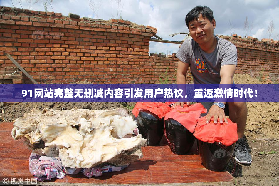 91网站完整无删减内容引发用户热议，重返激情时代！