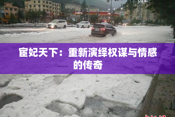 宦妃天下：重新演绎权谋与情感的传奇