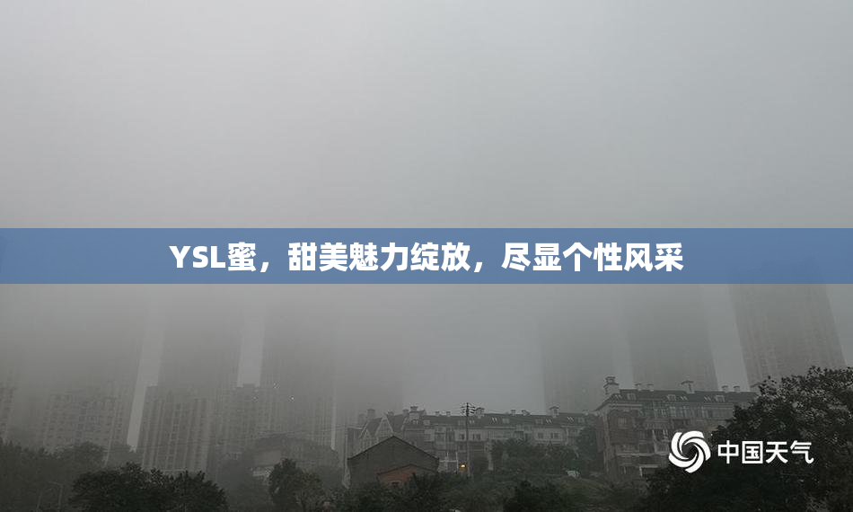 YSL蜜，甜美魅力绽放，尽显个性风采