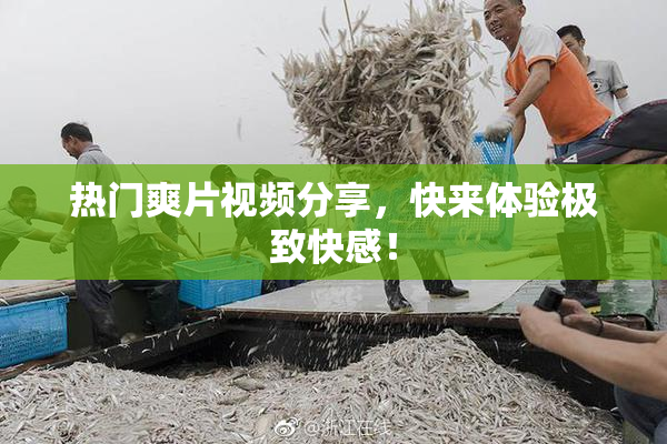 热门爽片视频分享，快来体验极致快感！