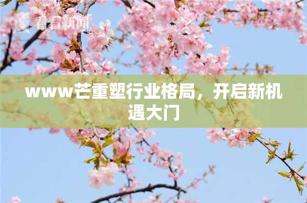 www芒重塑行业格局，开启新机遇大门