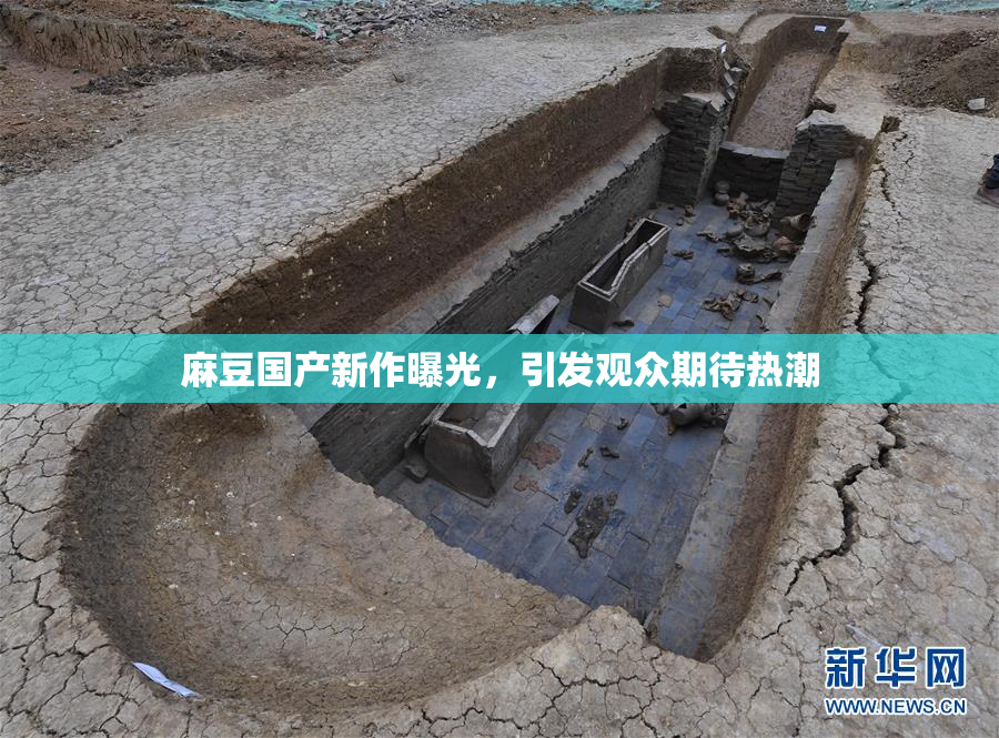 麻豆国产新作曝光，引发观众期待热潮