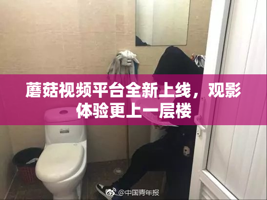 蘑菇视频平台全新上线，观影体验更上一层楼