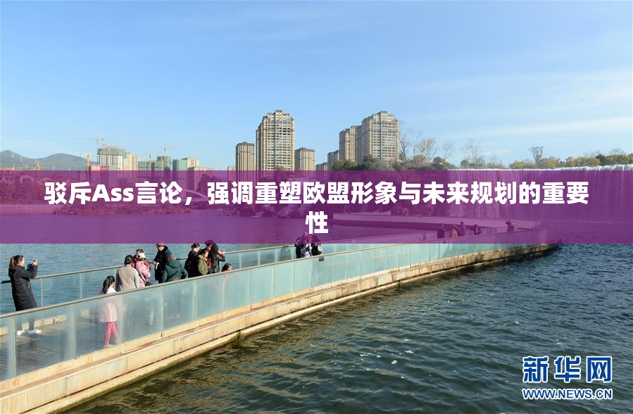 驳斥Ass言论，强调重塑欧盟形象与未来规划的重要性
