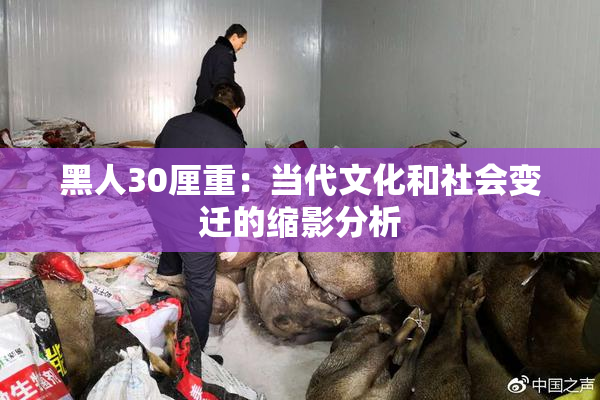黑人30厘重：当代文化和社会变迁的缩影分析