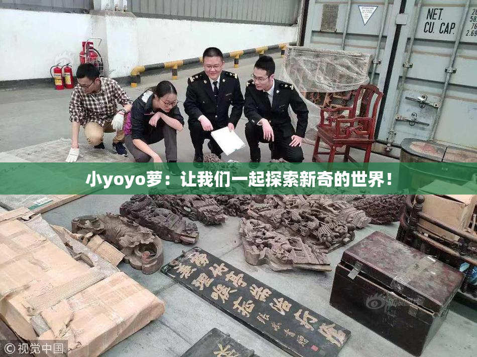 小yoyo萝：让我们一起探索新奇的世界！