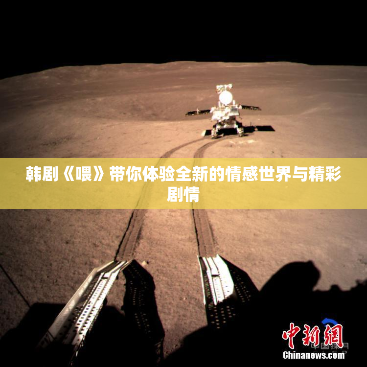 韩剧《喂》带你体验全新的情感世界与精彩剧情