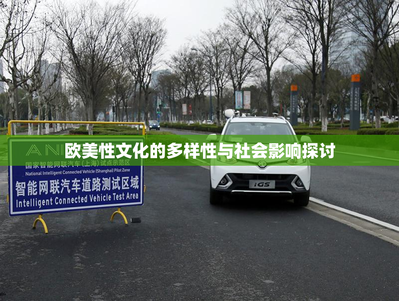 欧美性文化的多样性与社会影响探讨