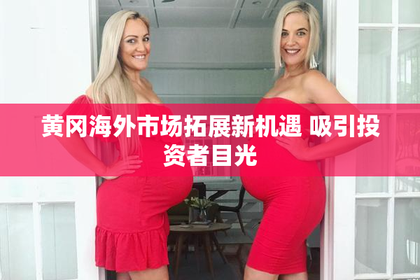 黄冈海外市场拓展新机遇 吸引投资者目光