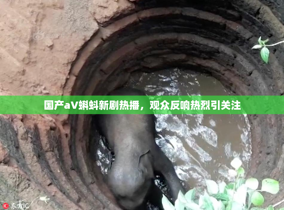 国产aV蝌蚪新剧热播，观众反响热烈引关注