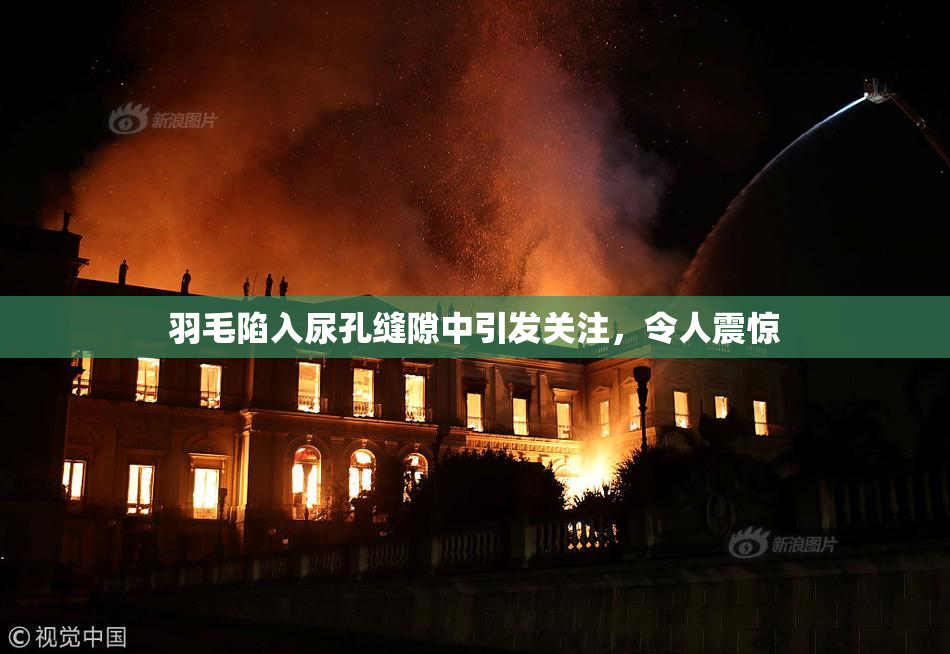 羽毛陷入尿孔缝隙中引发关注，令人震惊