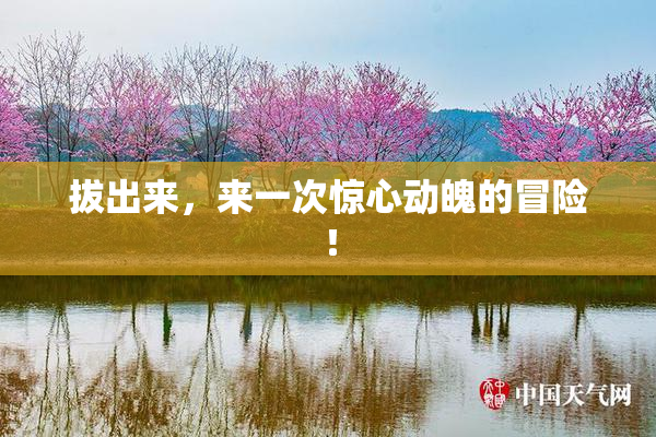 拔出来，来一次惊心动魄的冒险！