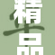 精品无码人妻：深度解析现代婚姻中的挑战与应对策略