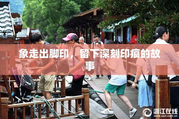 象走出脚印，留下深刻印痕的故事