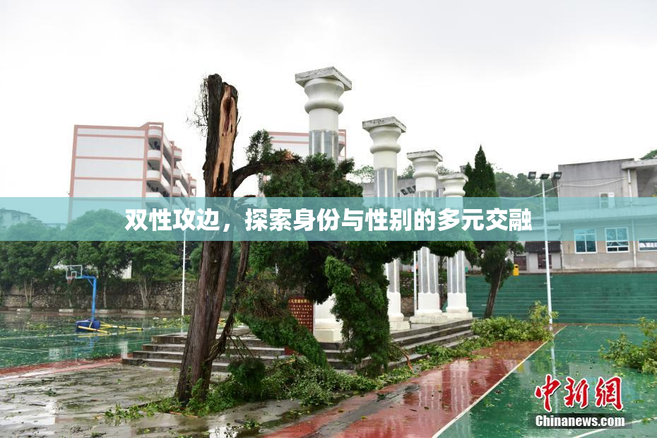 双性攻边，探索身份与性别的多元交融