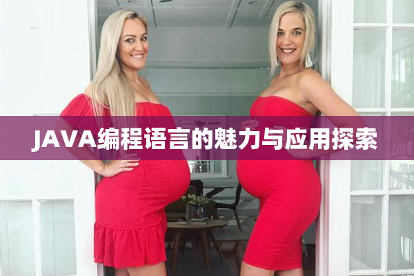 JAVA编程语言的魅力与应用探索