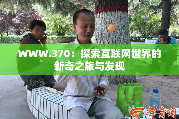WWW.370：探索互联网世界的新奇之旅与发现