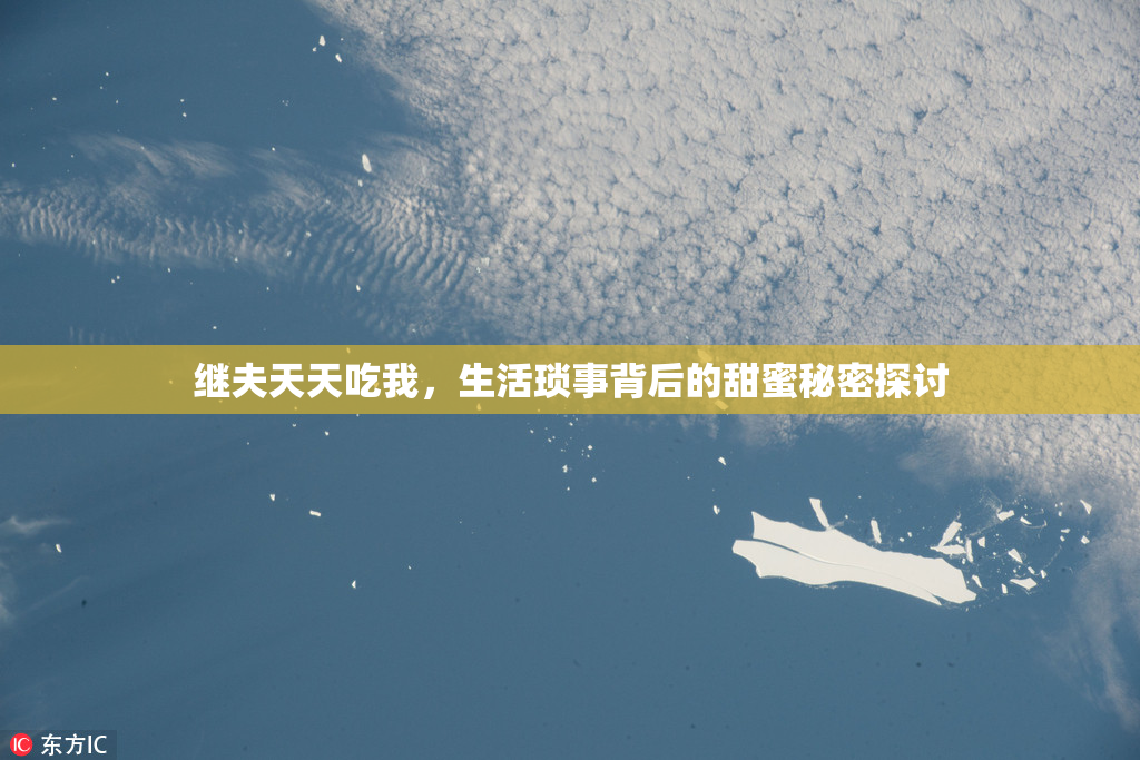 继夫天天吃我，生活琐事背后的甜蜜秘密探讨