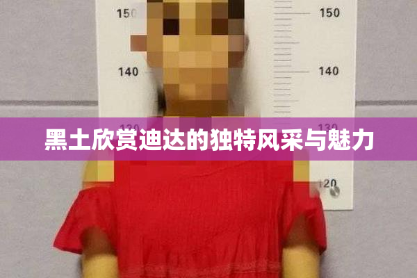 黑土欣赏迪达的独特风采与魅力