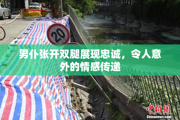 男仆张开双腿展现忠诚，令人意外的情感传递