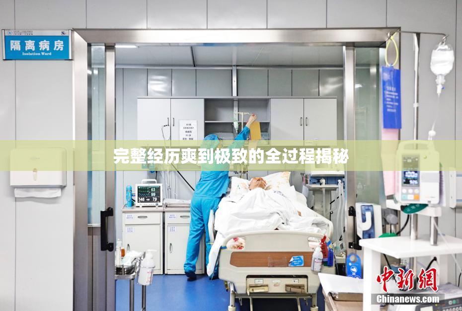 完整经历爽到极致的全过程揭秘
