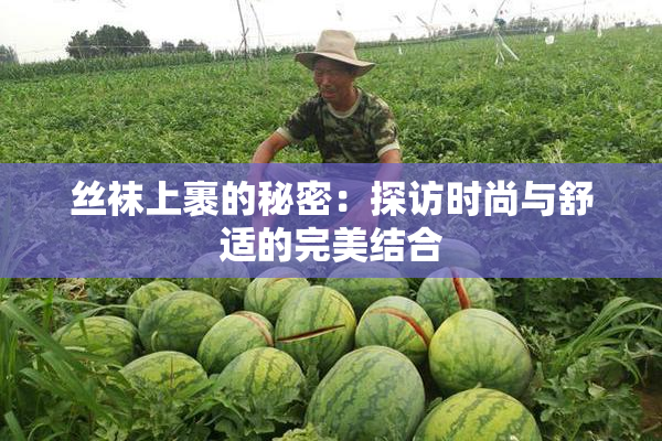 丝袜上裹的秘密：探访时尚与舒适的完美结合