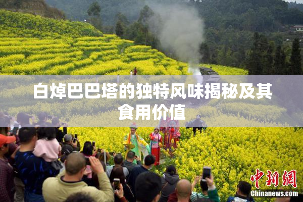 白焯巴巴塔的独特风味揭秘及其食用价值
