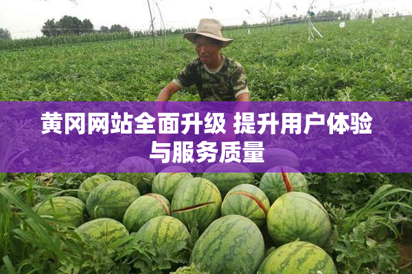 黄冈网站全面升级 提升用户体验与服务质量