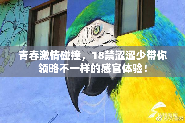 青春激情碰撞，18禁涩涩少带你领略不一样的感官体验！