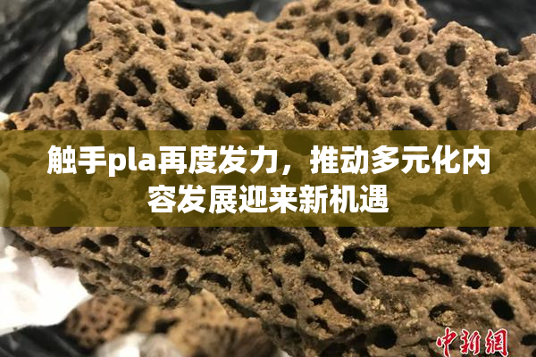触手pla再度发力，推动多元化内容发展迎来新机遇