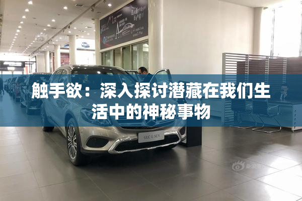 触手欲：深入探讨潜藏在我们生活中的神秘事物