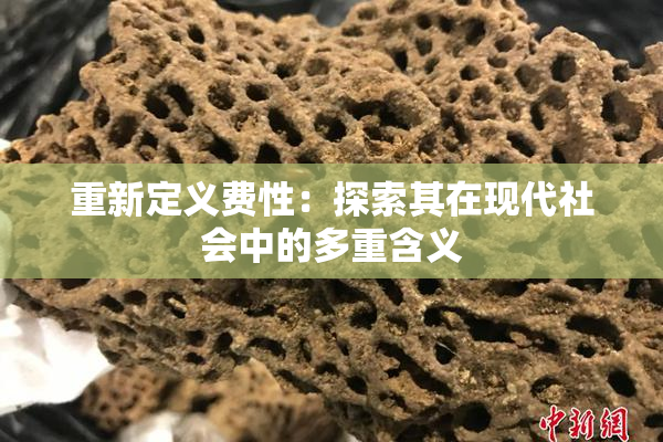 重新定义费性：探索其在现代社会中的多重含义