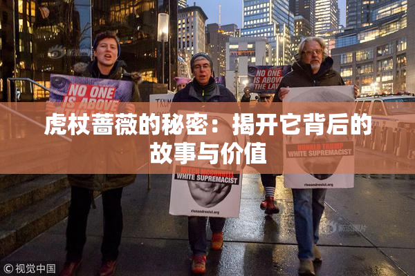 虎杖蔷薇的秘密：揭开它背后的故事与价值