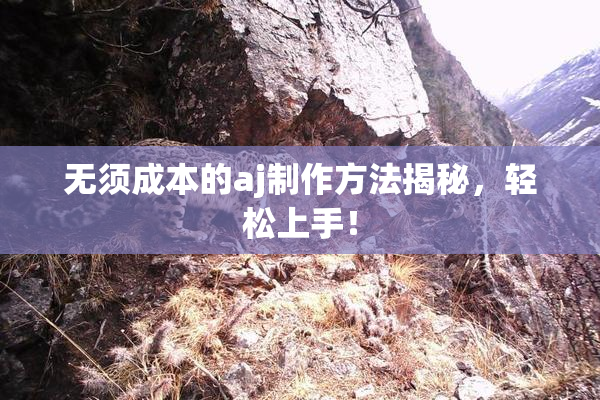 无须成本的aj制作方法揭秘，轻松上手！