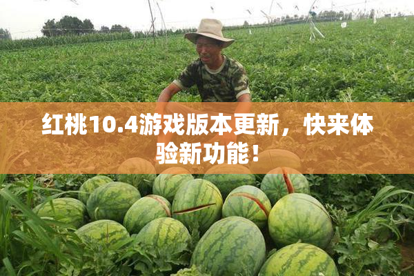 红桃10.4游戏版本更新，快来体验新功能！