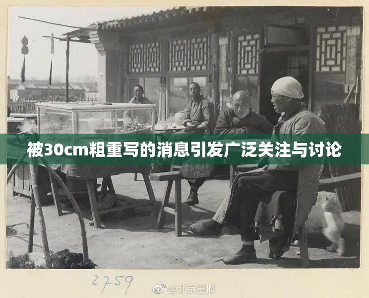 被30cm粗重写的消息引发广泛关注与讨论