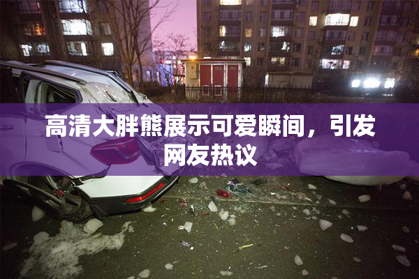 高清大胖熊展示可爱瞬间，引发网友热议