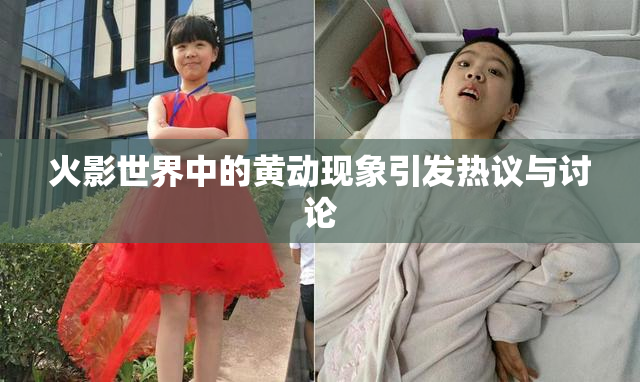 火影世界中的黄动现象引发热议与讨论